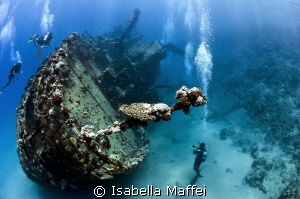 "DIVING EXPLORER"
Egypt , berenice, Abu Gusum Wreck by Isabella Maffei 